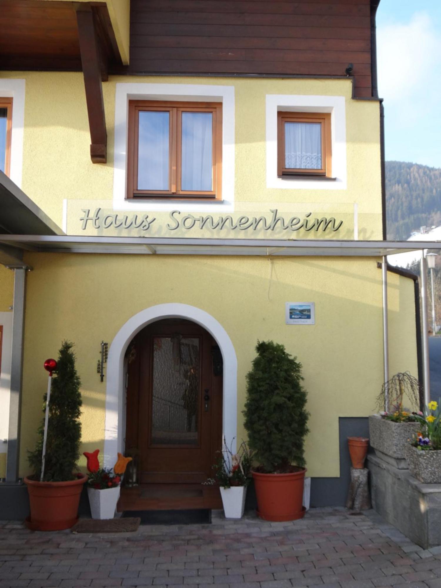 Appartement Haus Sonnenheim ツェル アム ゼー エクステリア 写真
